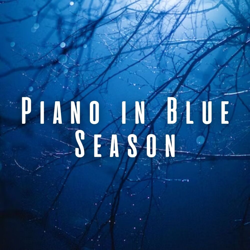 Picture of Calm Rain Music