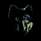 Wolfkid