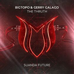 Picture of Bigtopo