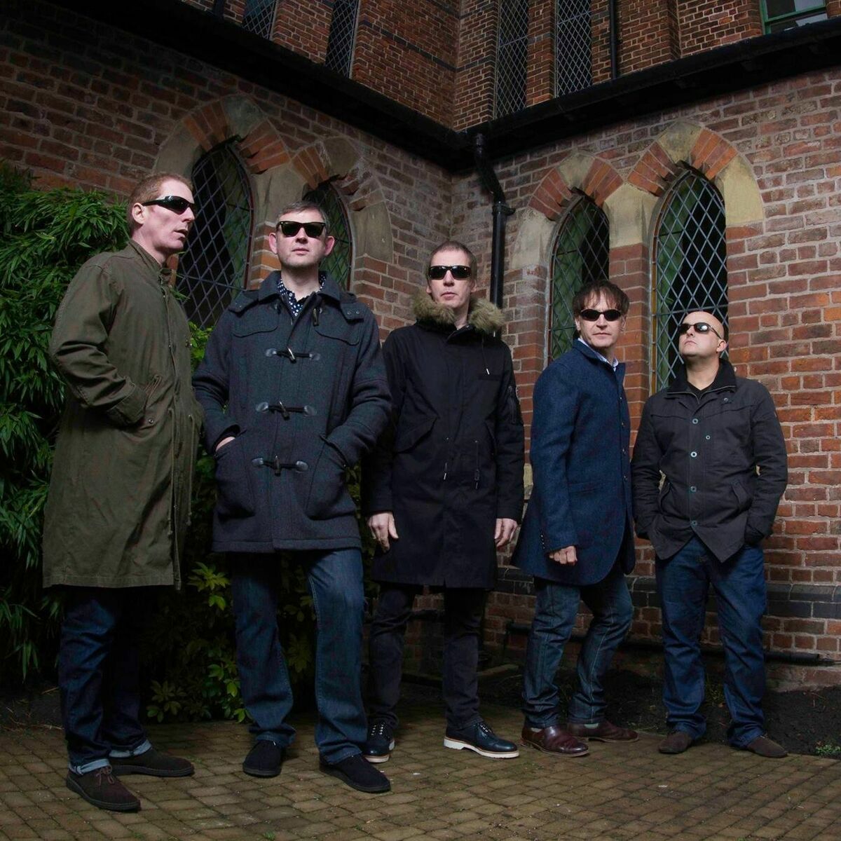 Inspiral Carpets