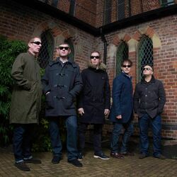 Picture of Inspiral Carpets