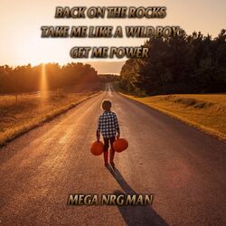 Picture of Mega NRG Man