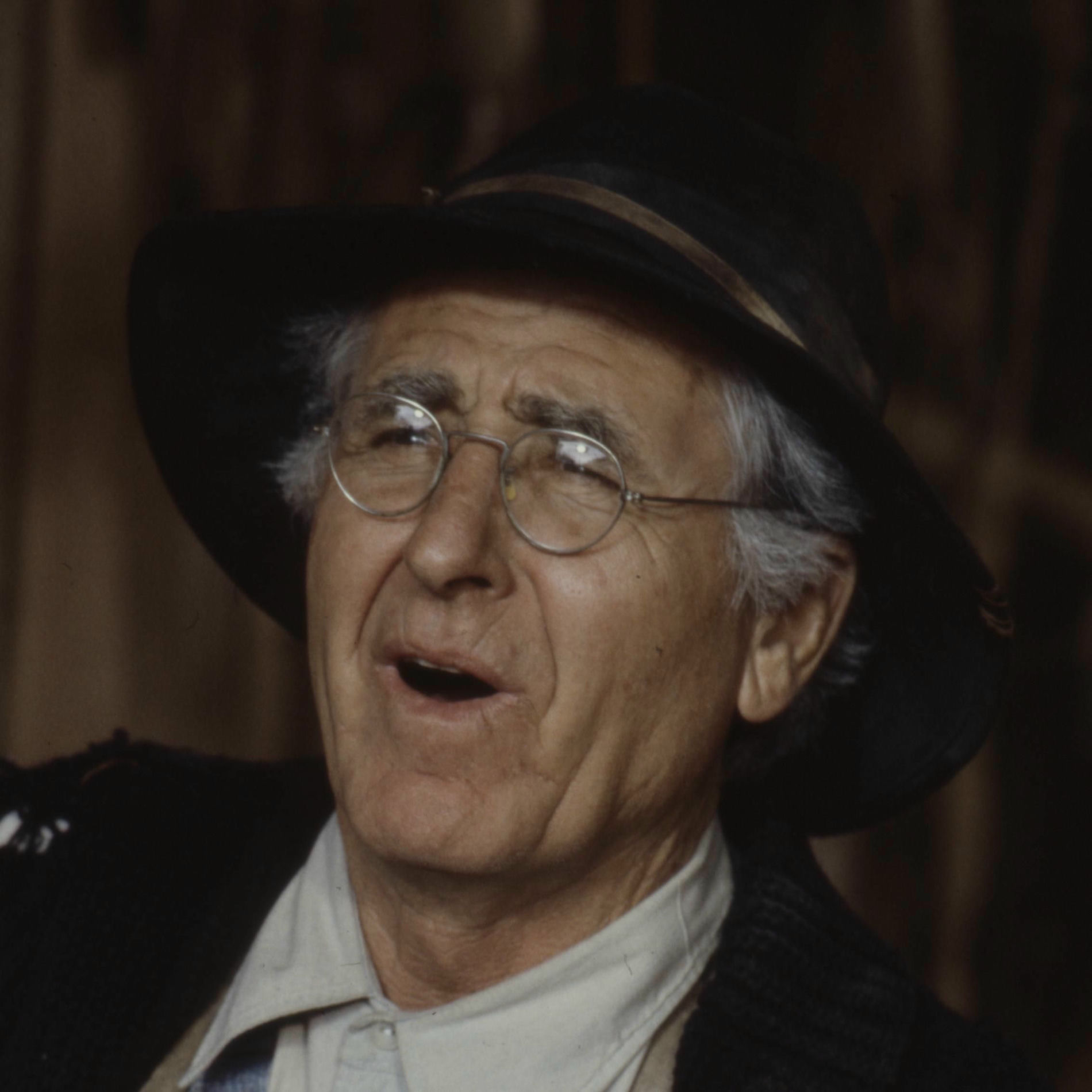 Artist picture of Sheb Wooley