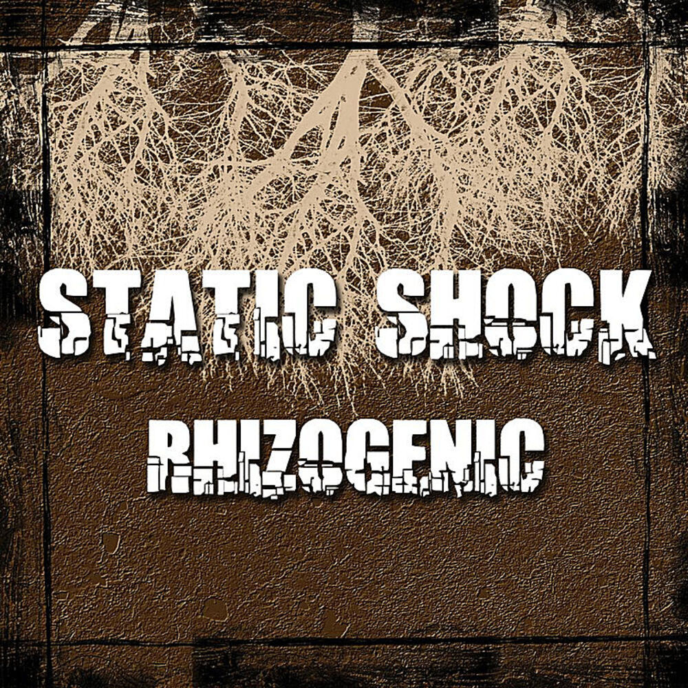 Picture of Static Shock