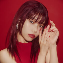 Picture of Aina The End