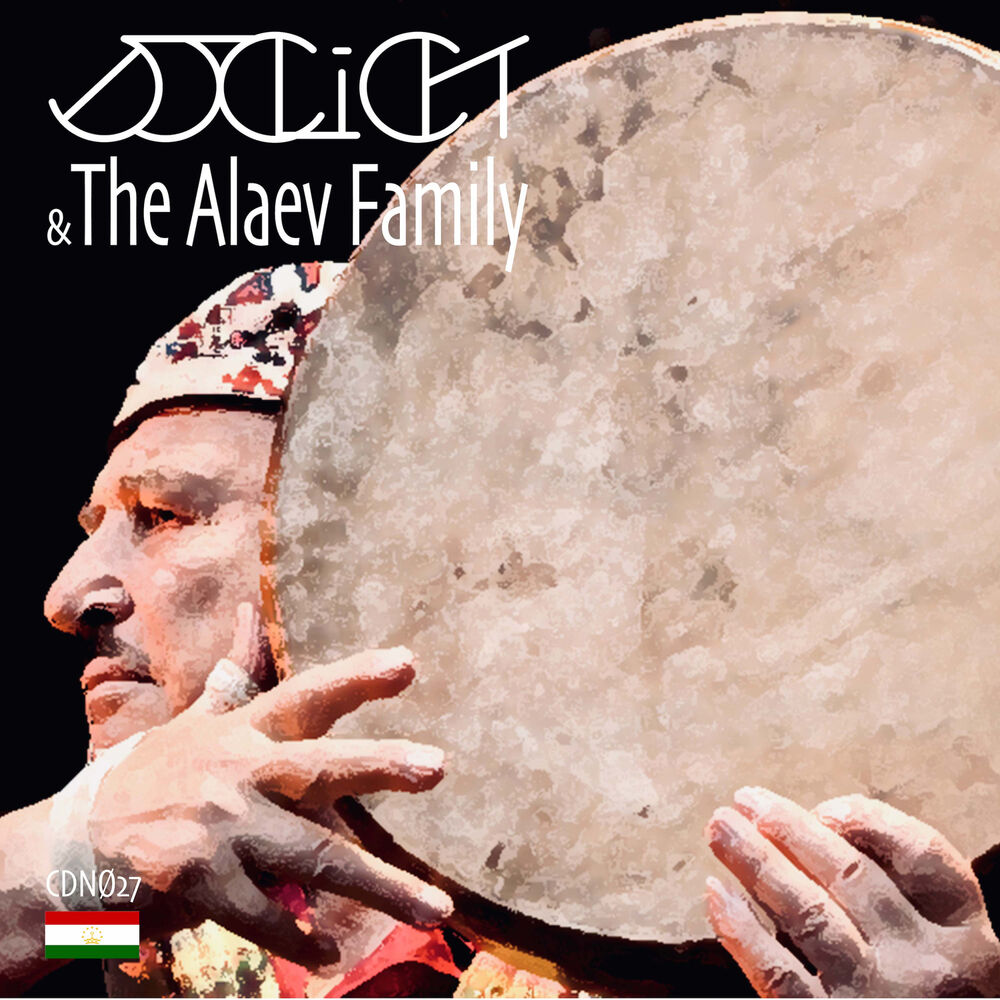 Picture of The Alaev Family