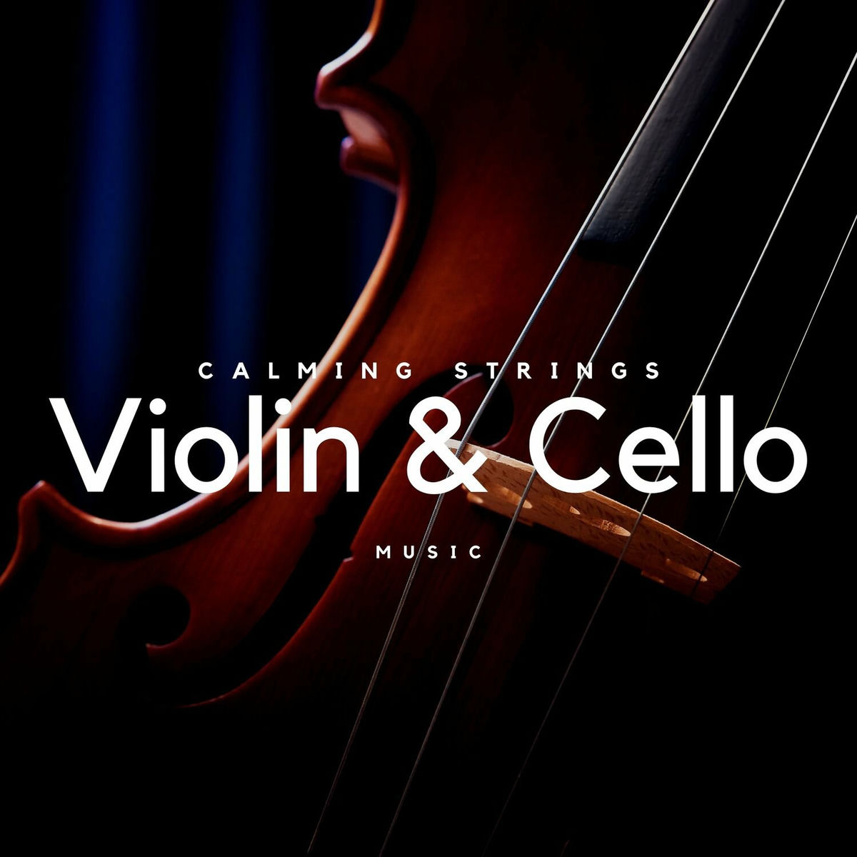 Artist picture of Violin Music