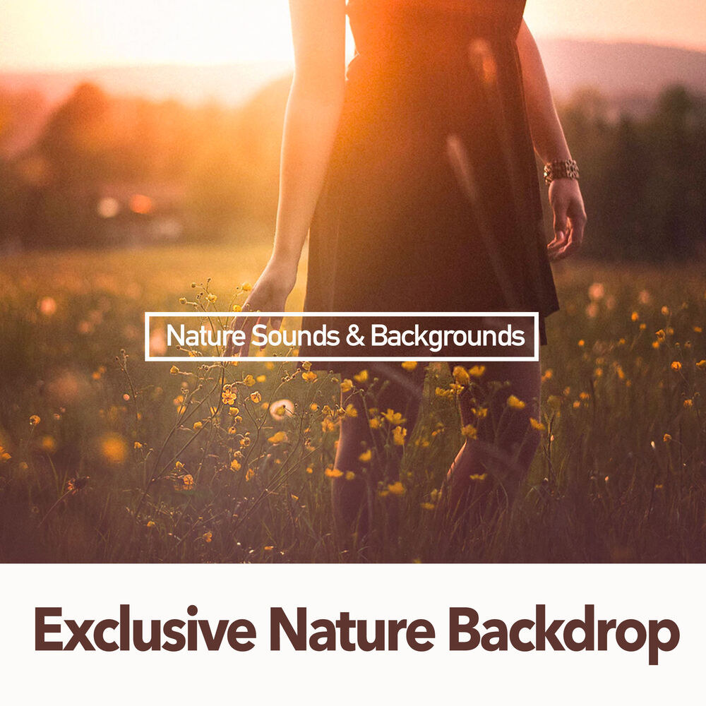 Picture of Nature Sounds & Backgrounds