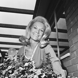Picture of Sue Thompson