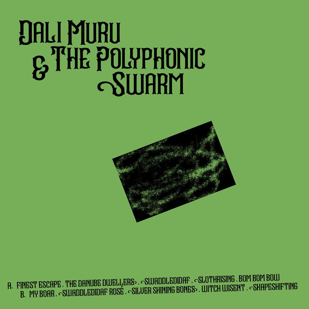 Picture of Dali Muru & The Polyphonic Swarm