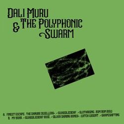 Picture of Dali Muru & The Polyphonic Swarm