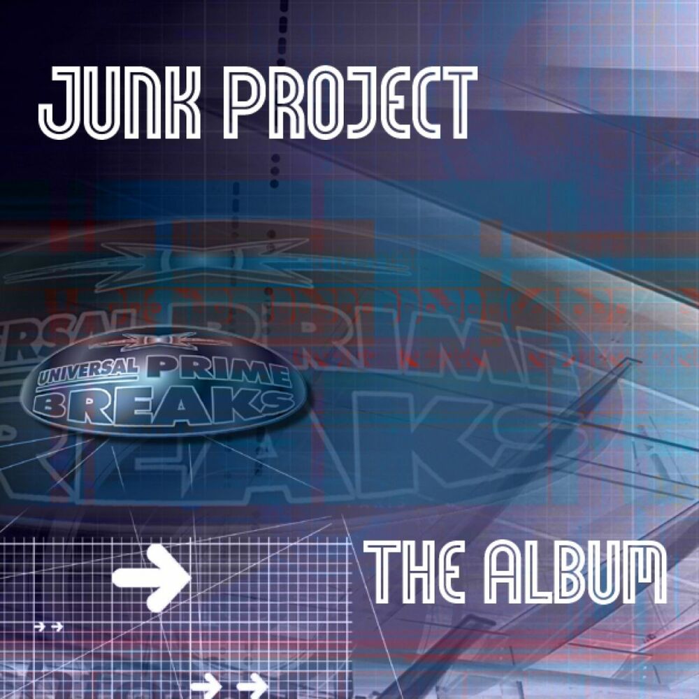 Picture of Junk Project