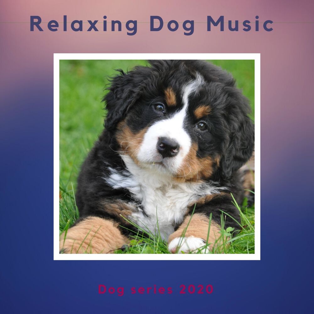 Picture of Music-to-Relax-Dogs