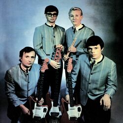 Picture of The Trashmen