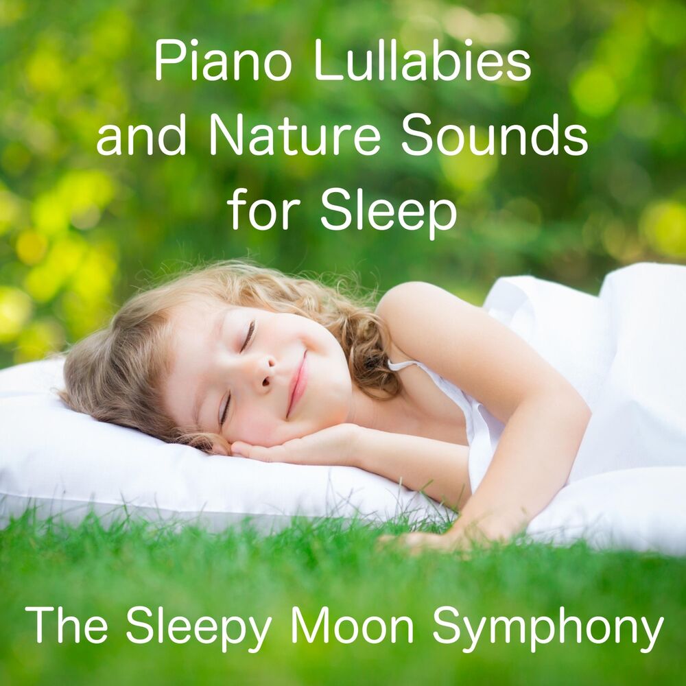 Picture of The Sleepy Moon Symphony