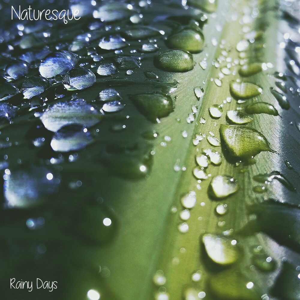 Picture of Naturesque