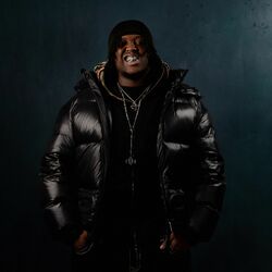 Picture of Zino Vinci