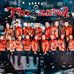 Picture of Banda Triguera