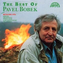 Picture of Pavel Bobek