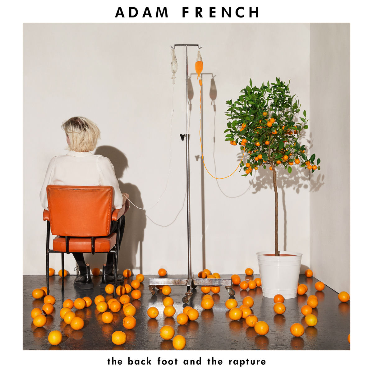 Artist picture of Adam French
