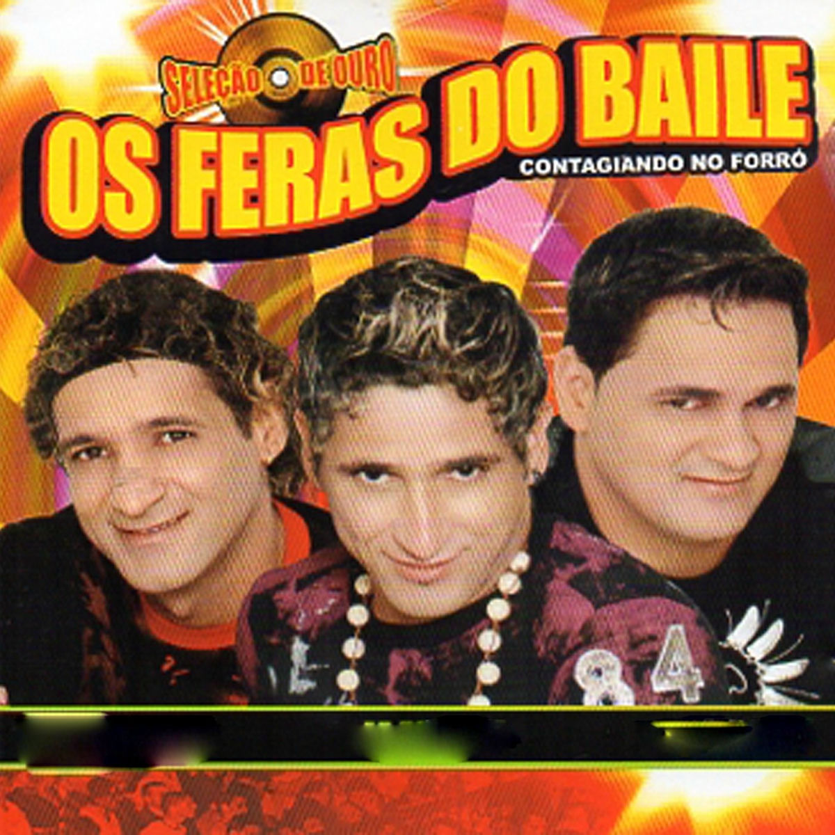 Artist picture of Os Feras do Baile