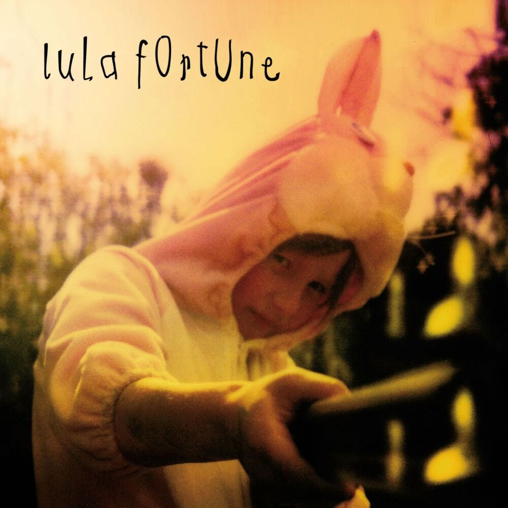 Picture of Lula fortune
