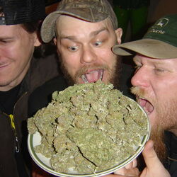 Picture of Weedeater