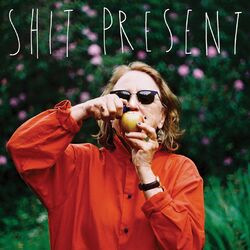 Picture of Shit Present