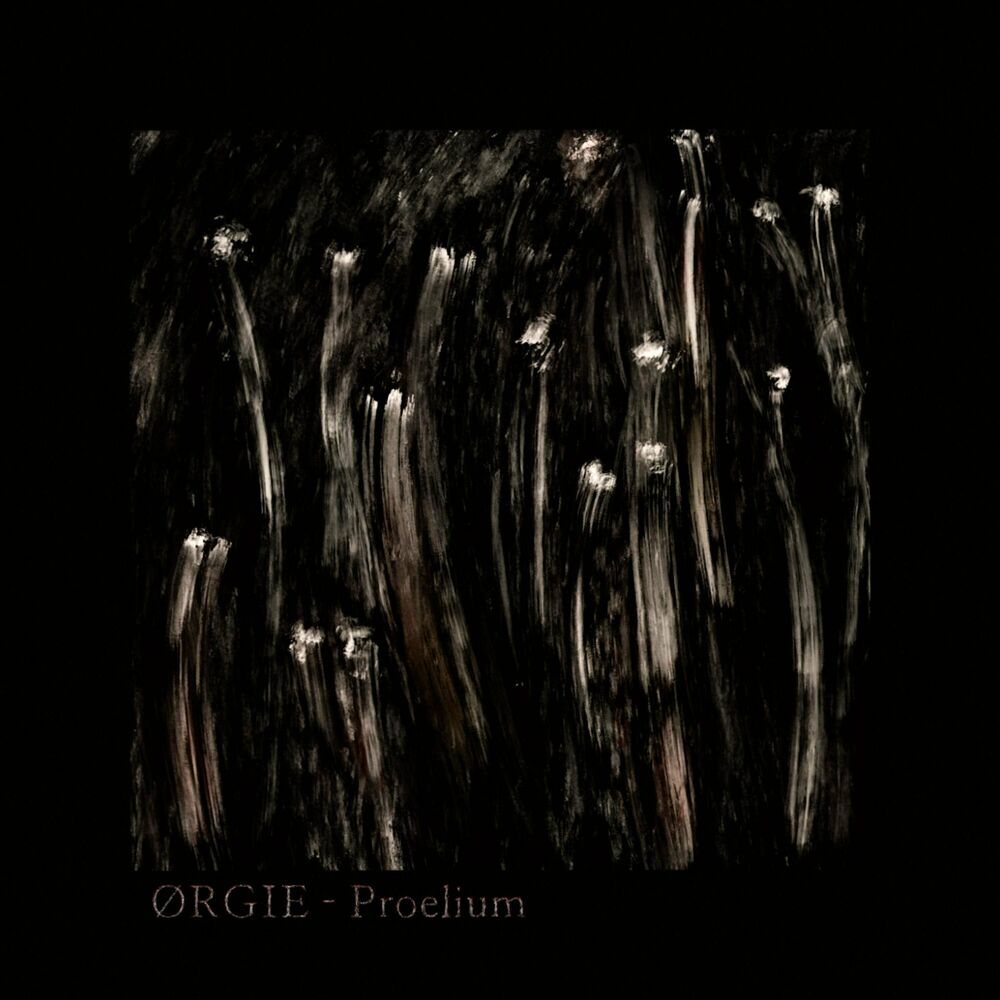 Picture of ØRGIE