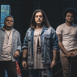 Picture of Banda Bálsamo