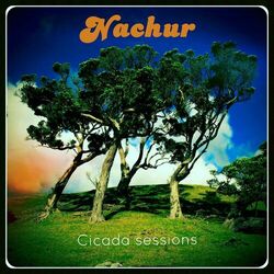 Picture of Nachur