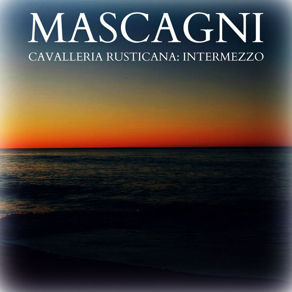 Picture of Massimo Freccia