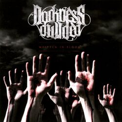 Picture of Darkness Divided
