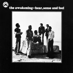 Picture of The Awakening
