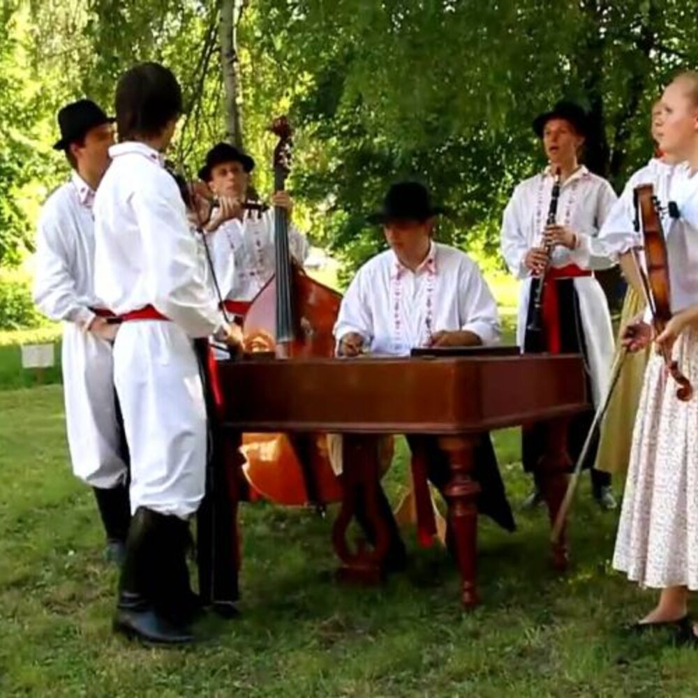 Picture of Cimbálová muzika, primáška I.Vašíčková