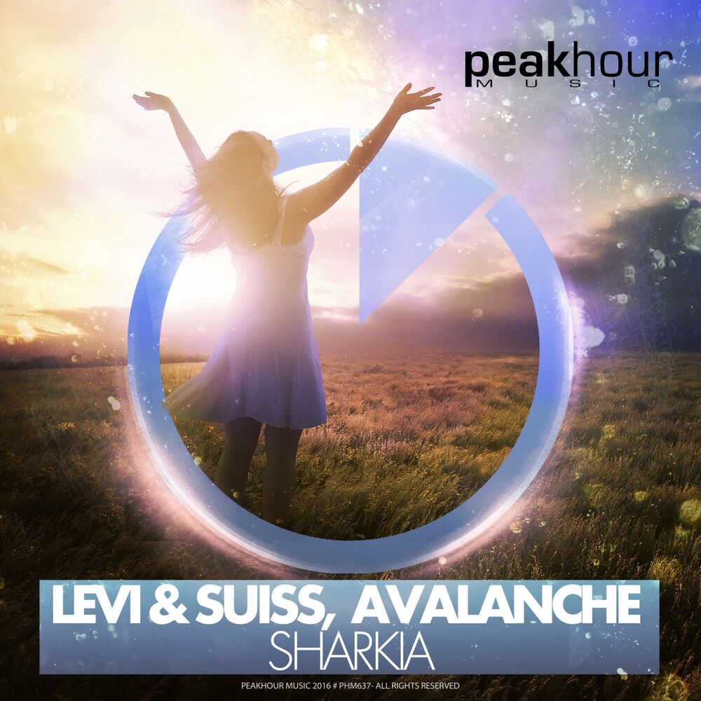 Picture of Levi & Suiss, Avalanche