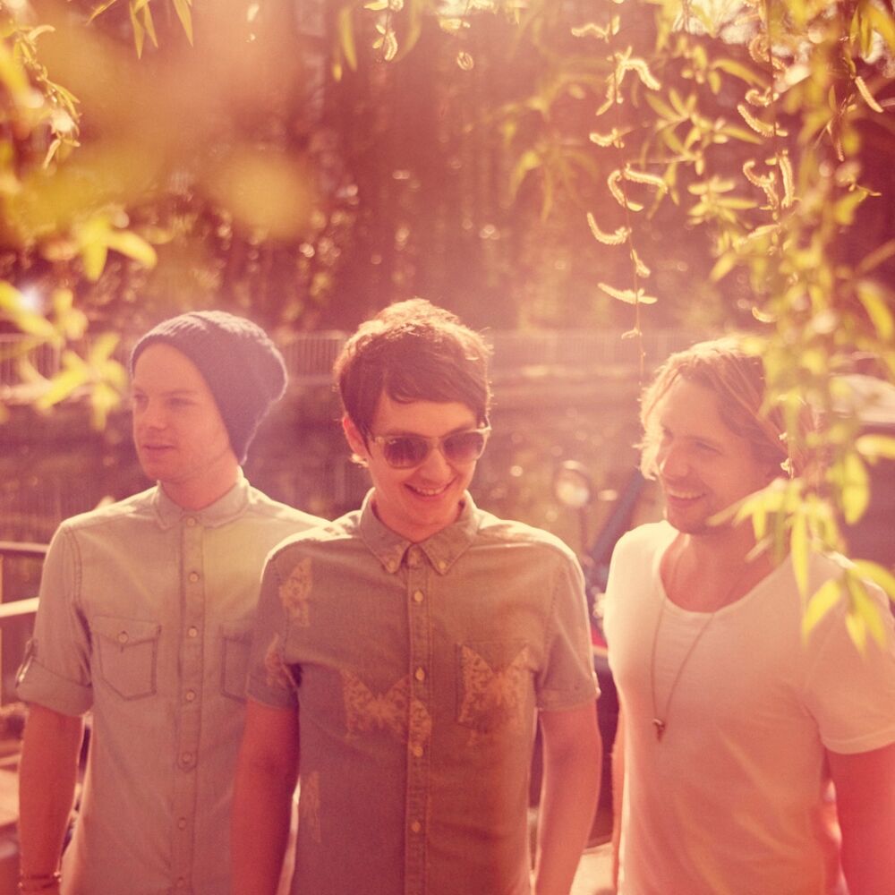 Picture of Animal Kingdom