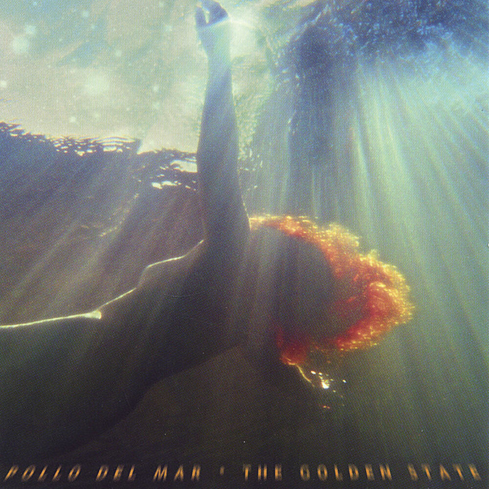 Picture of Pollo Del Mar