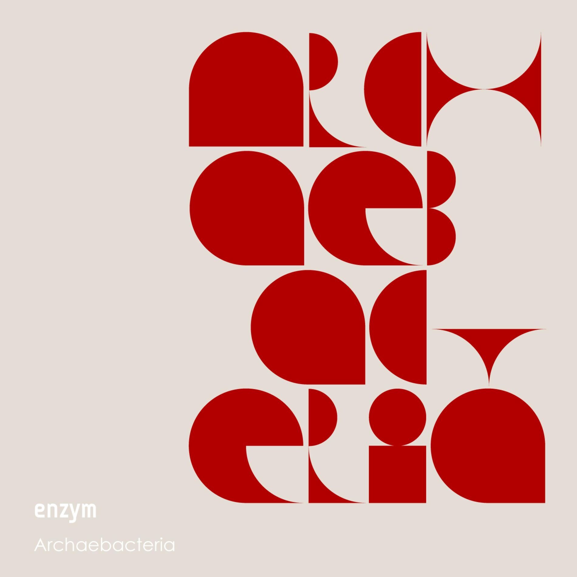 Enzym