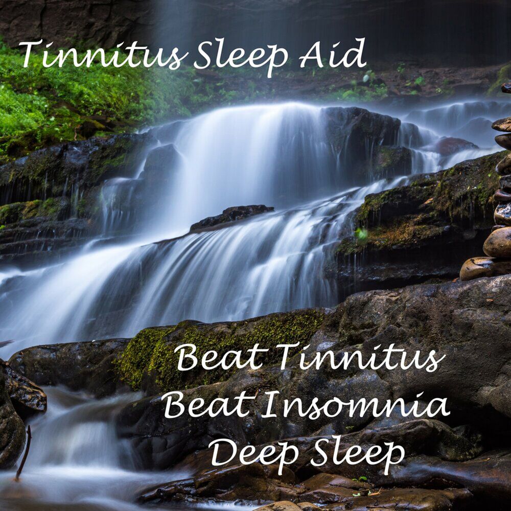 Picture of Tinnitus Aid
