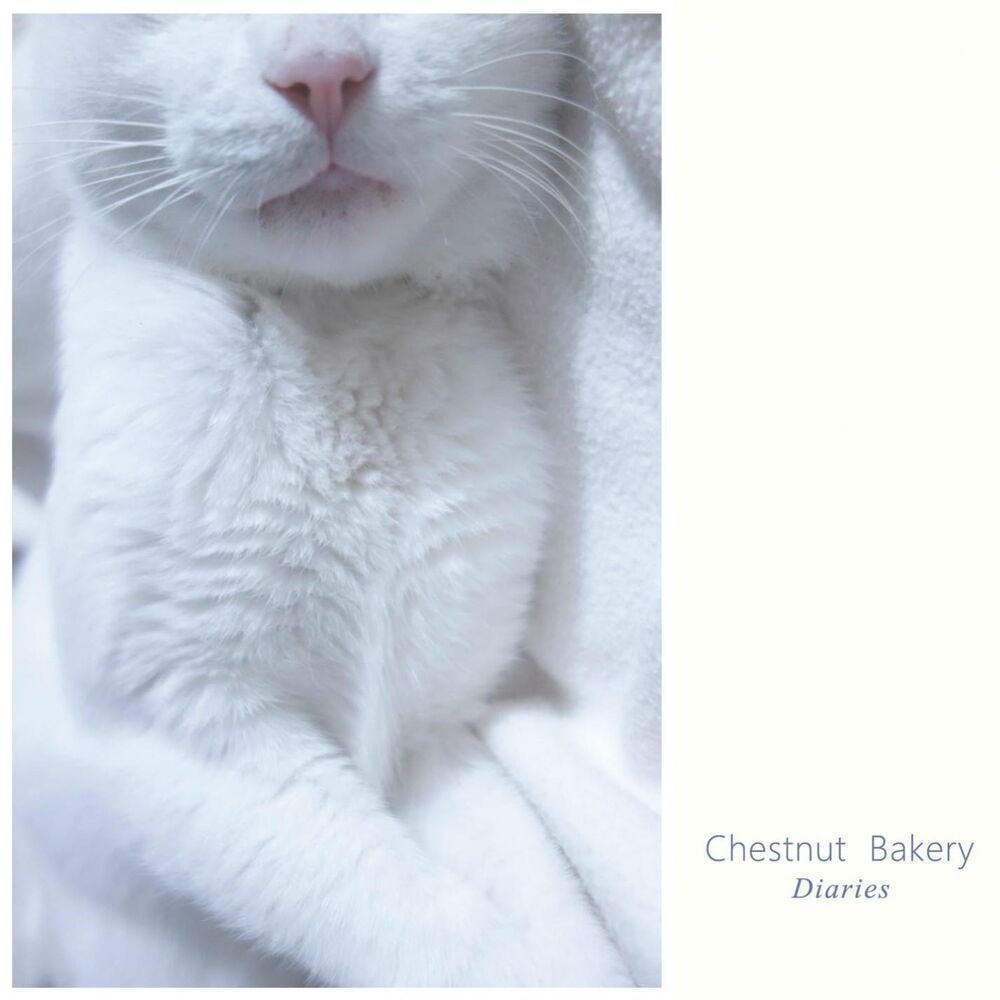 Picture of chestnut bakery