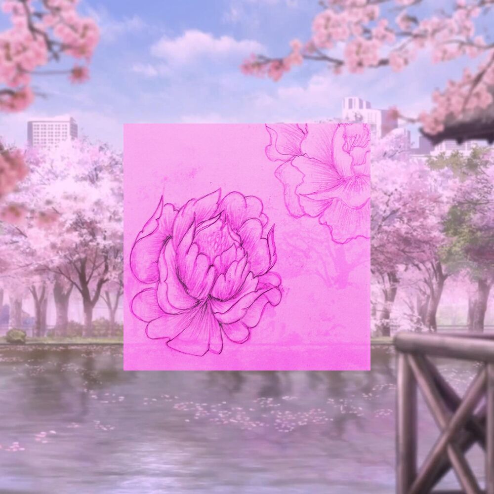 Picture of Namai