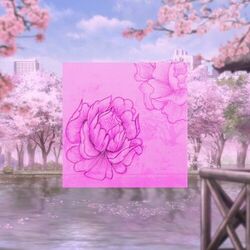 Picture of Namai