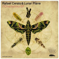 Picture of Lunar Plane