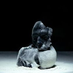 Picture of Belief Defect