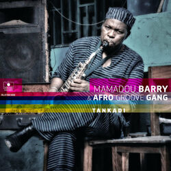 Picture of Mamadou Barry & Afro Groove Gang