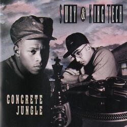 Picture of Sway & King Tech