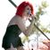Image of Save Ferris