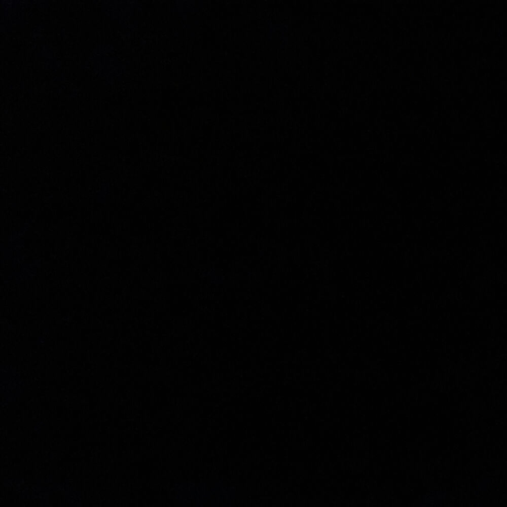 Picture of Lauren Jones