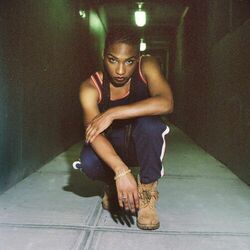 Picture of Quay Dash